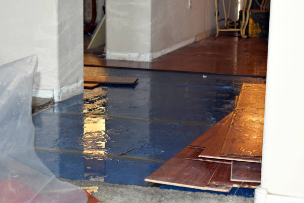 Professional Sewage Cleanup technician working in Pewamo, MI